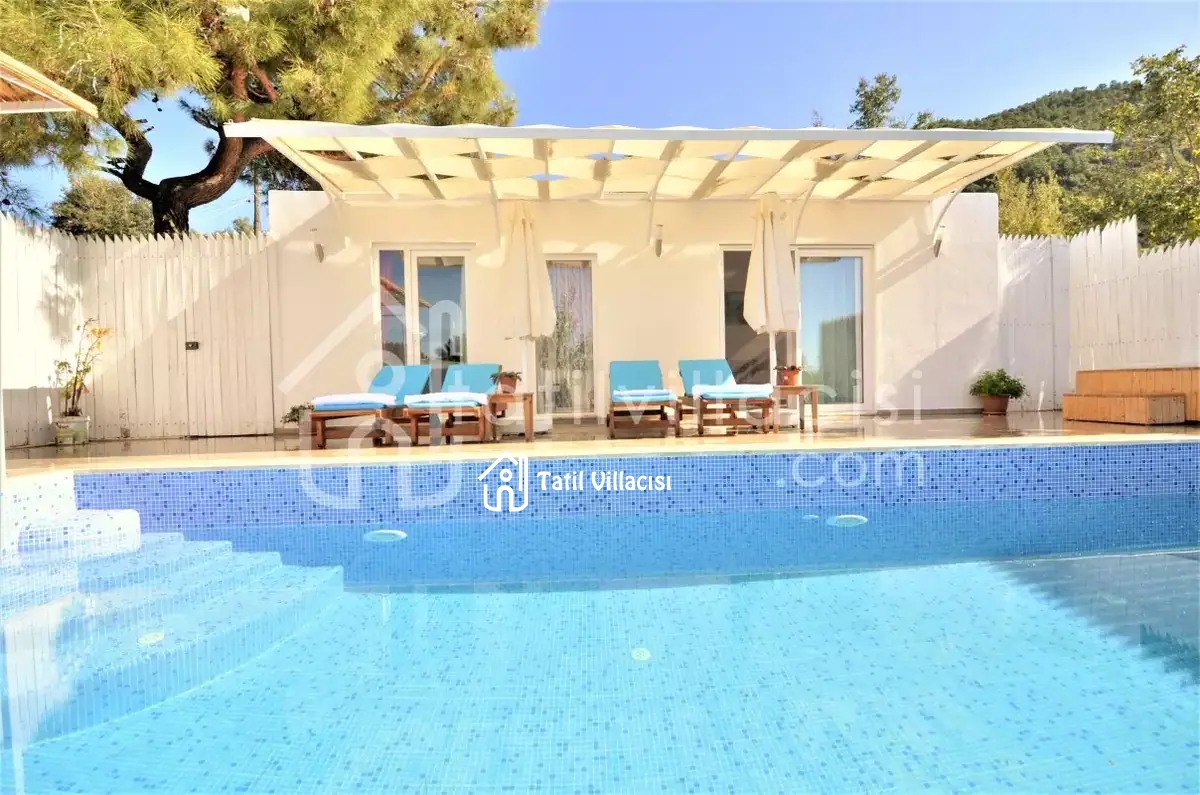 Villa Olgu