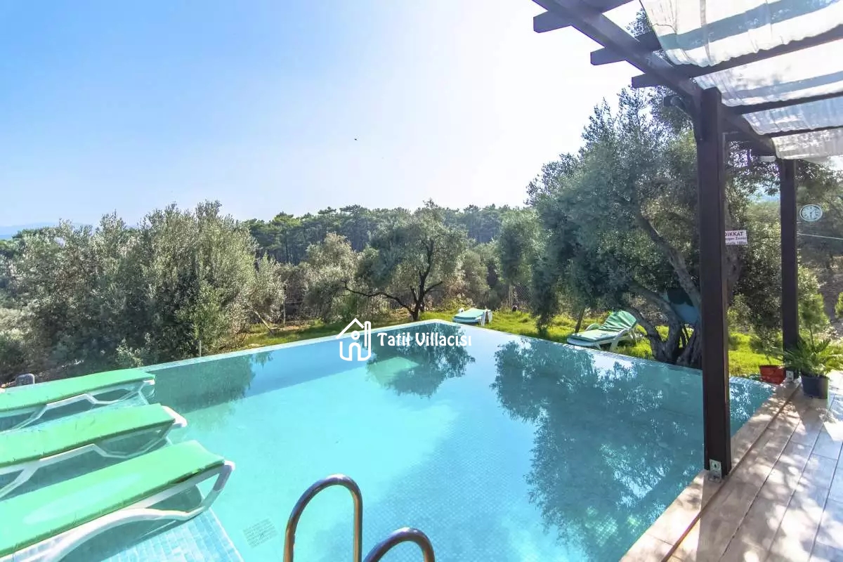 Villa Olive