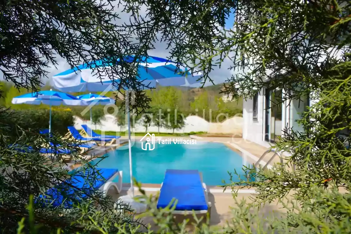 Villa Olivya