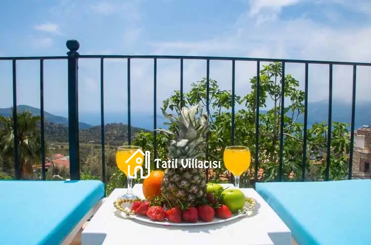 Villa Palya