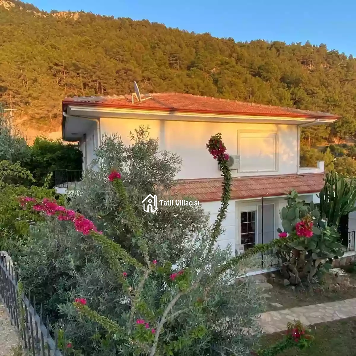 Villa Papatya Faralya