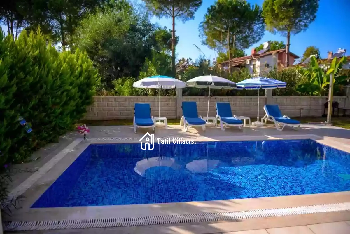 Villa Polo 3