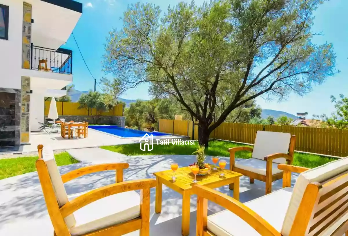 Villa Risus 2