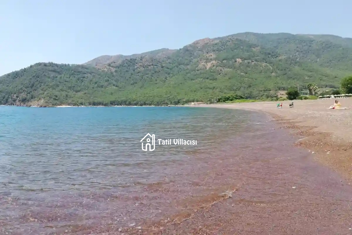 Villa Sayfiya