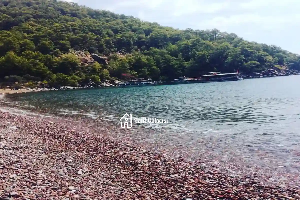 Villa Sayfiya