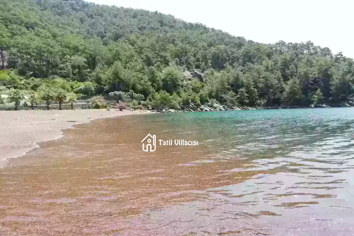 Villa Sayfiya