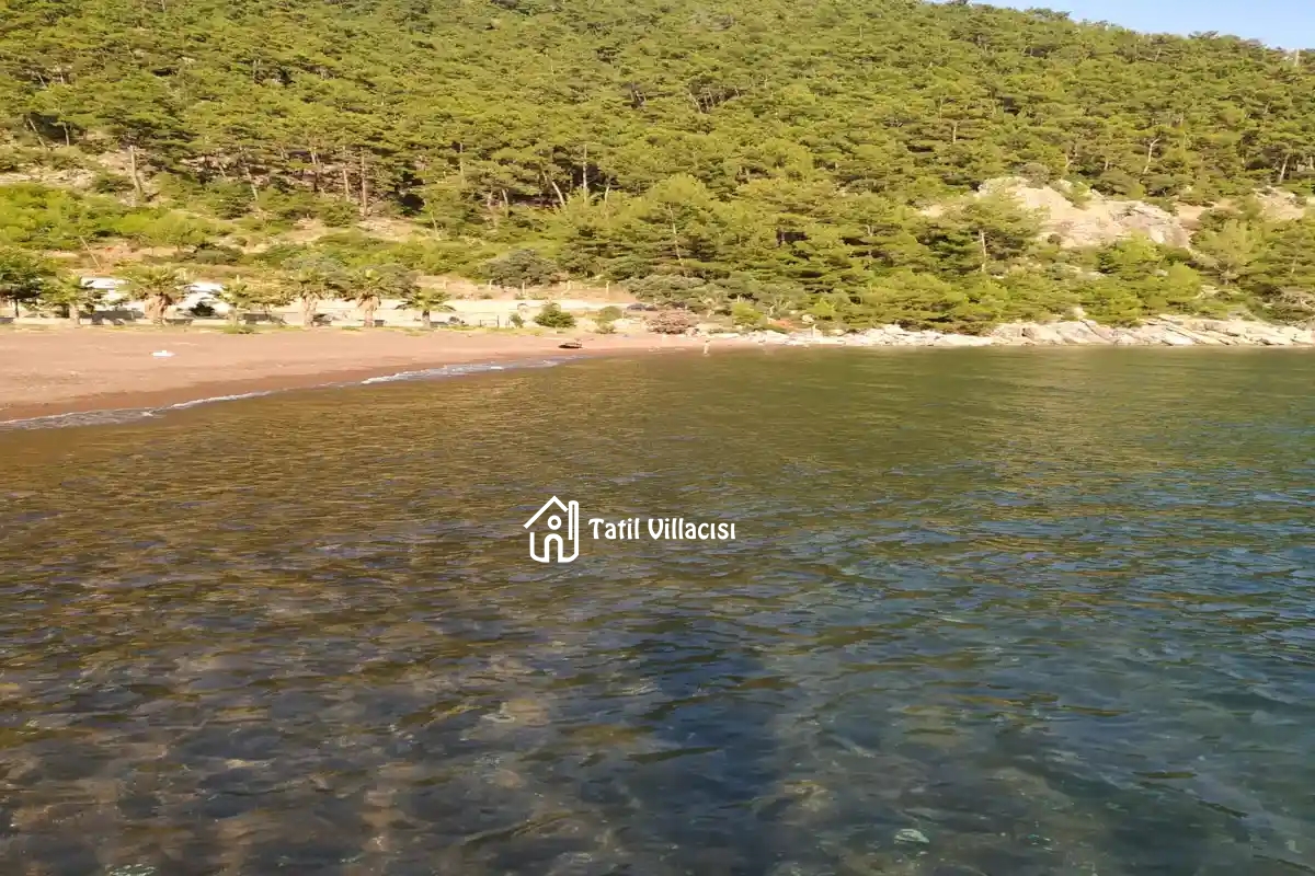 Villa Sayfiya