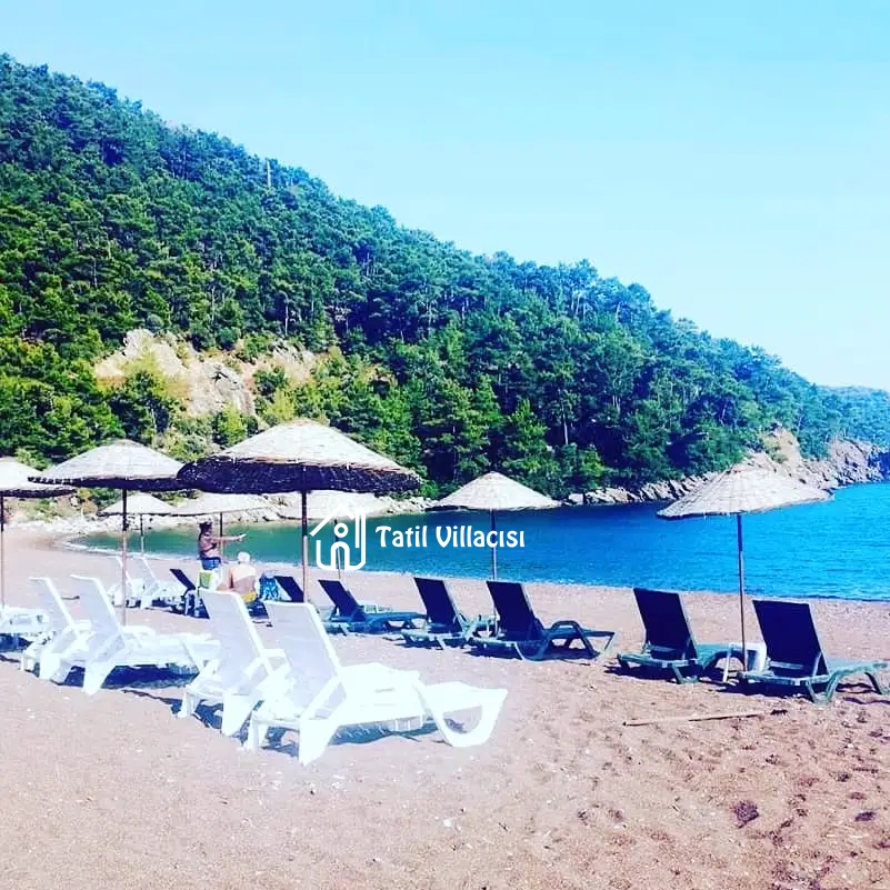 Villa Sayfiya