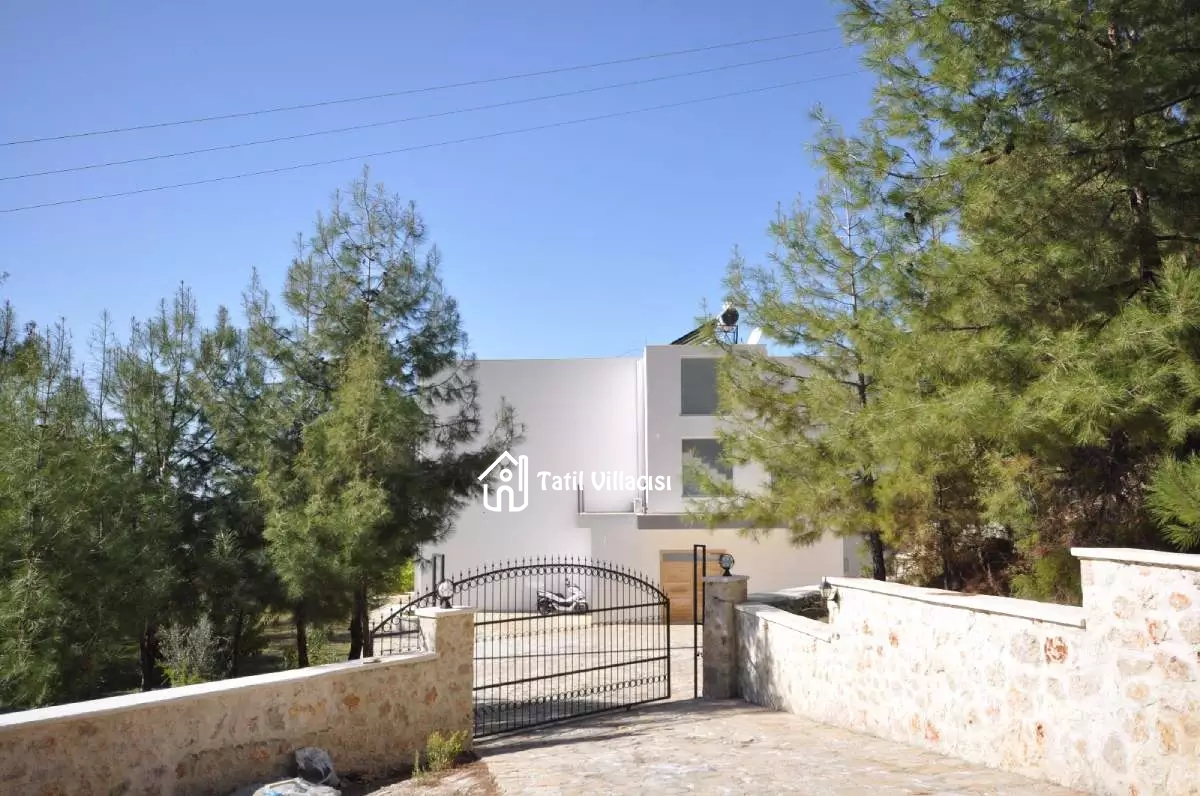 Villa Serenity