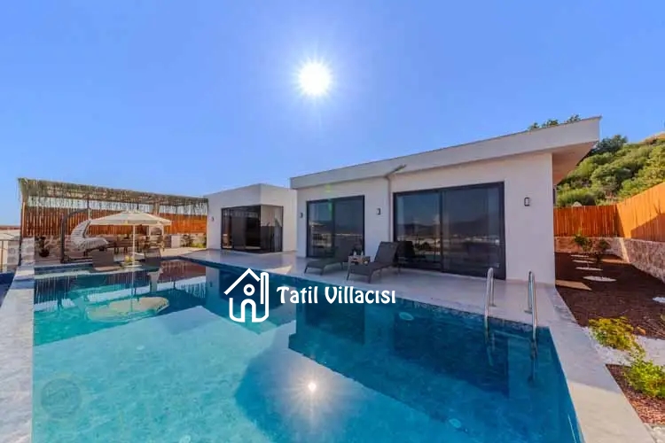 Villa Starliçe 1