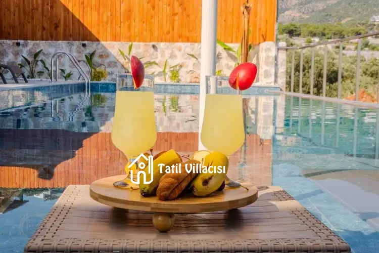 Villa Starliçe 1