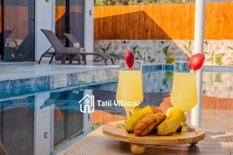 Villa Starliçe 1