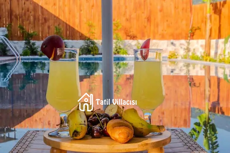 Villa Starliçe 2