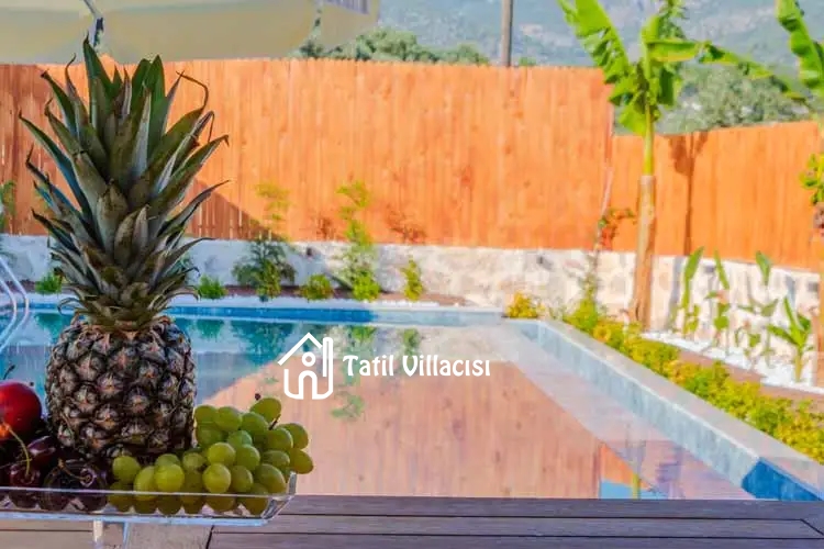 Villa Starliçe 2