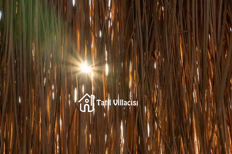 Villa Su Patara