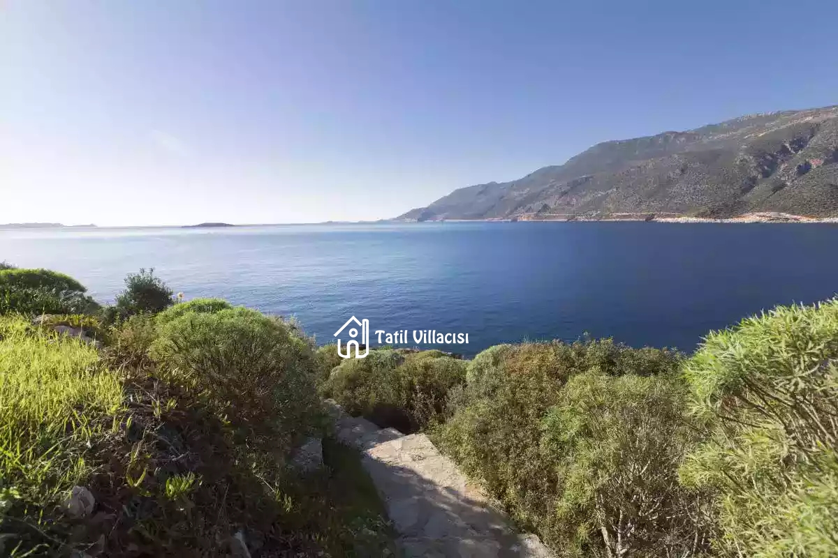 Villa White House