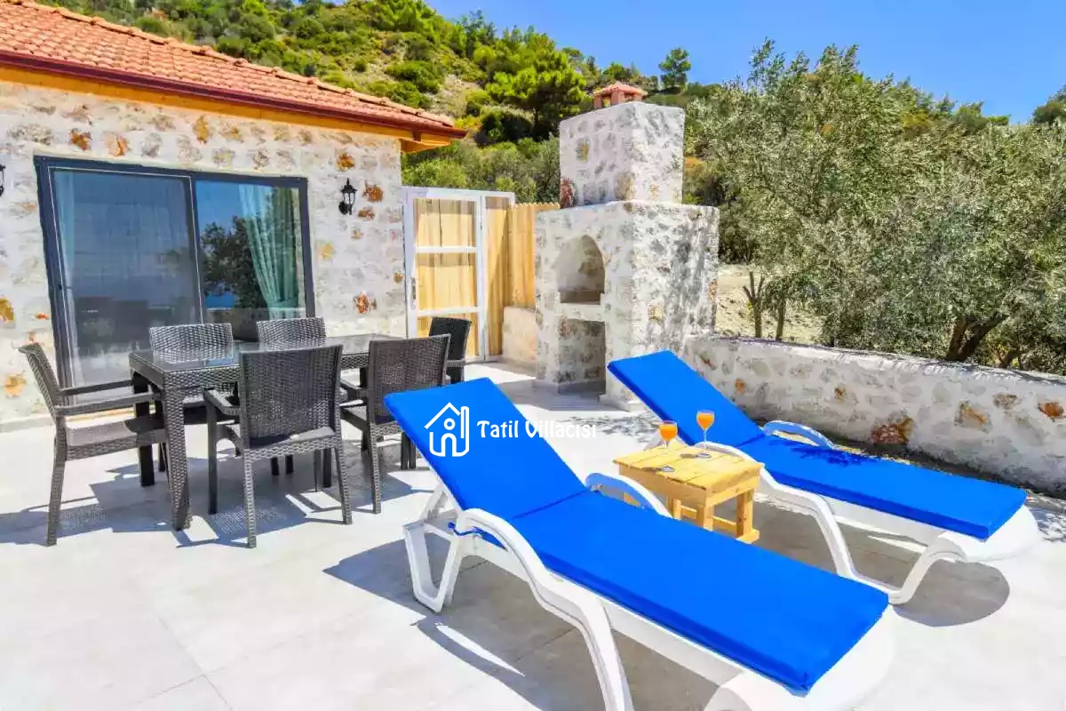 Villa Zeytin Dalı