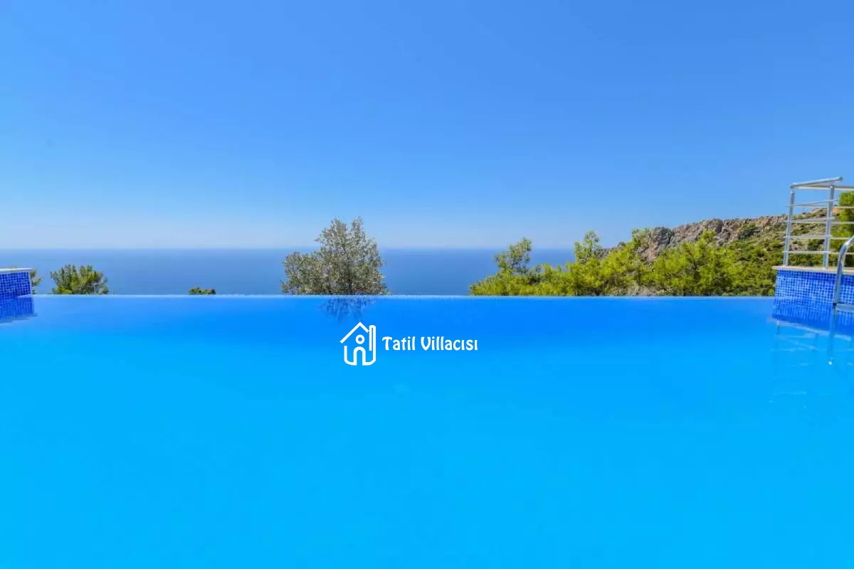 Villa Zeytin Dalı