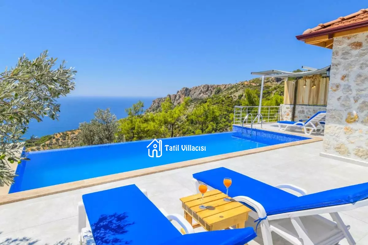 Villa Zeytin Dalı