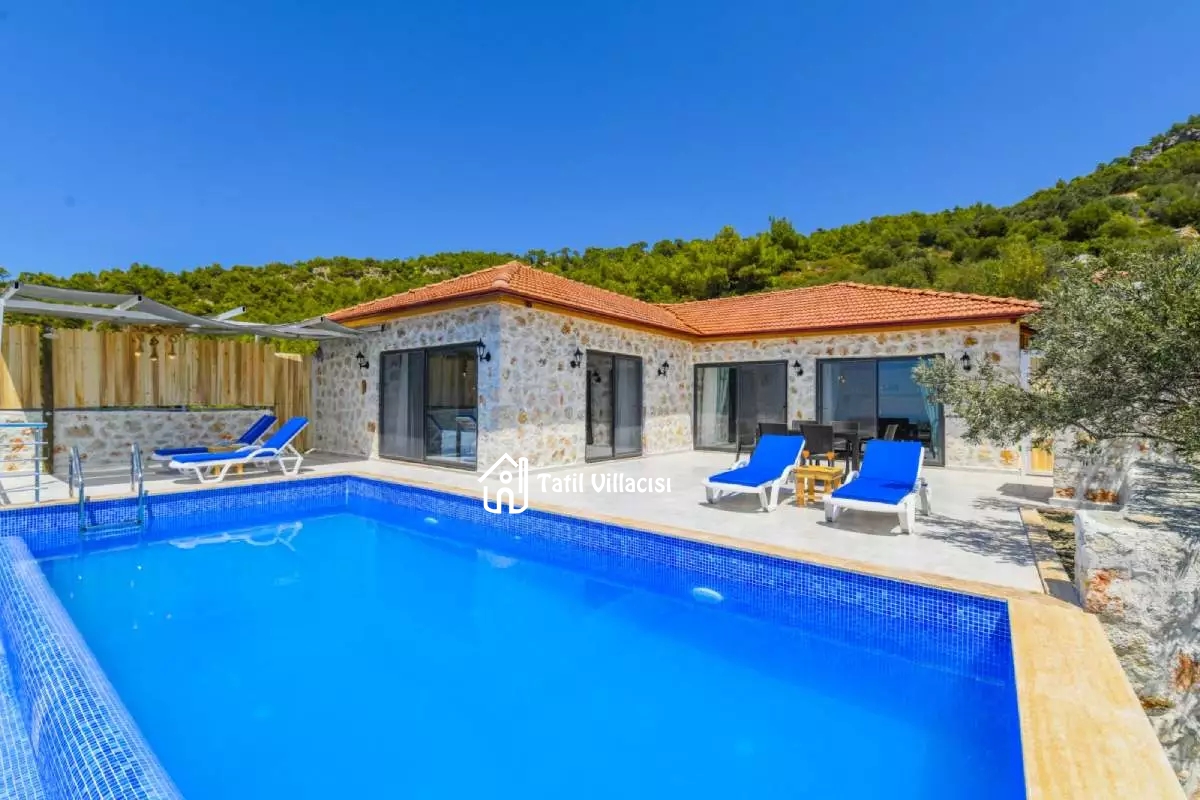 Villa Zeytin Dalı