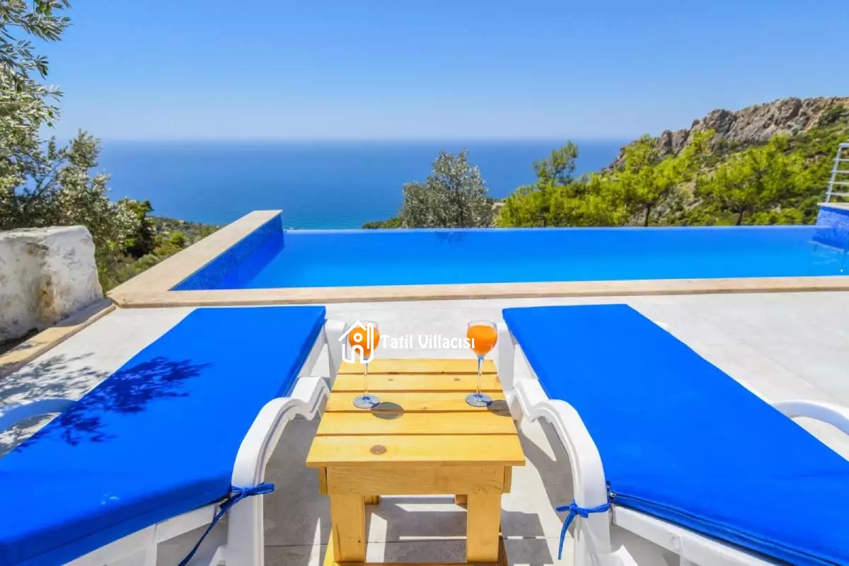 Villa Zeytin Dalı