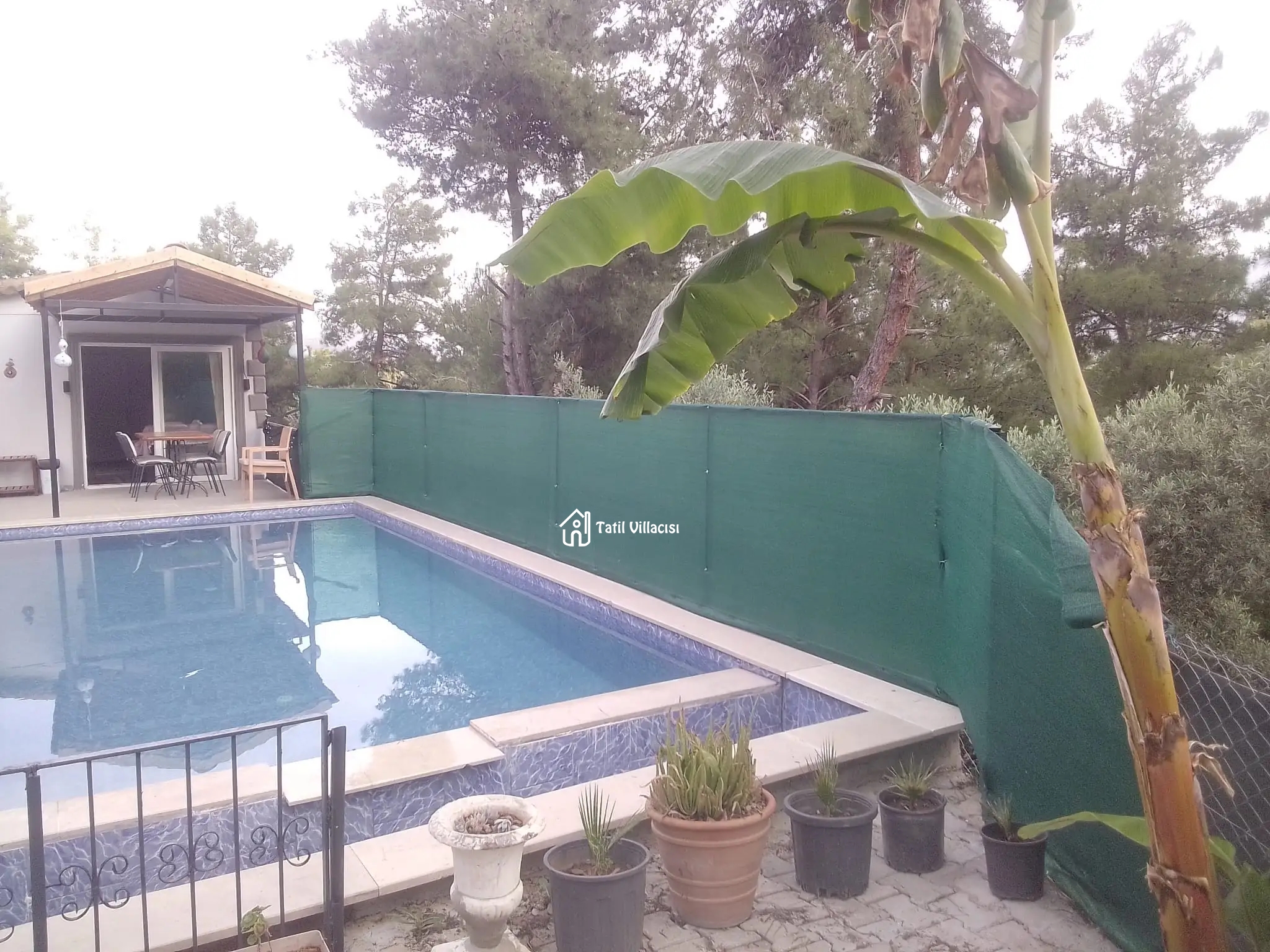 Villa Zeytin Dalım
