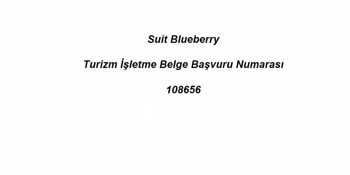 Suit Blueberry