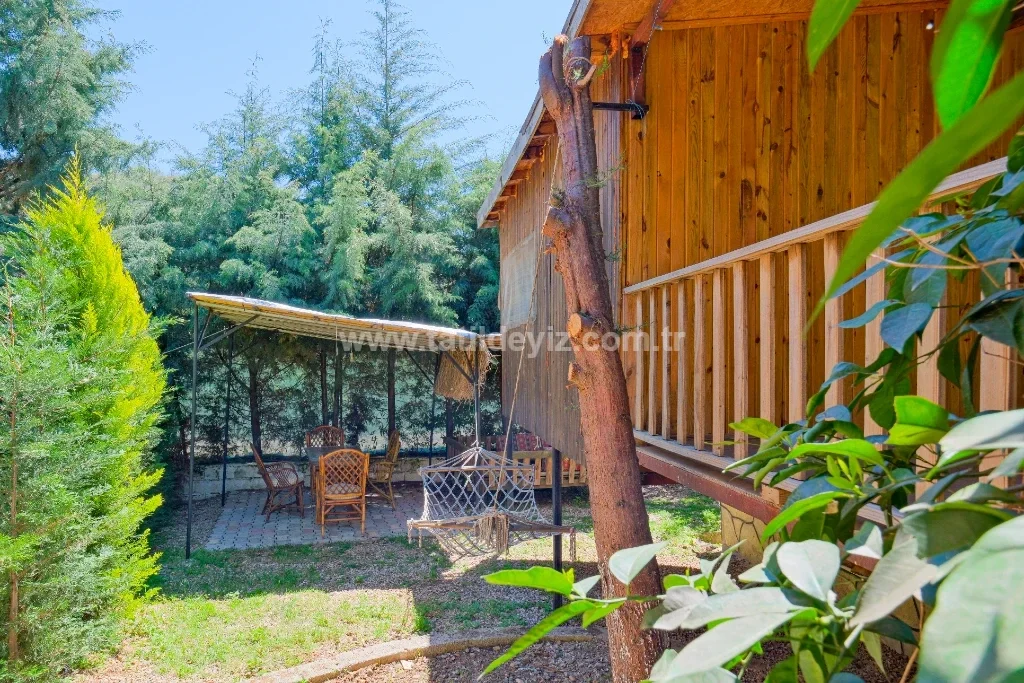 Bungalov Avokado 1